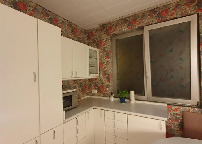 公寓 Gemuetliche Direkt An Der Uniklinik 美因茨